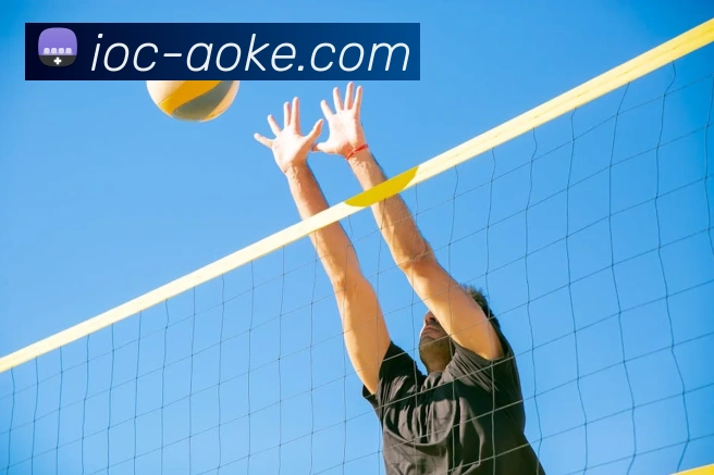 App Interface Preview